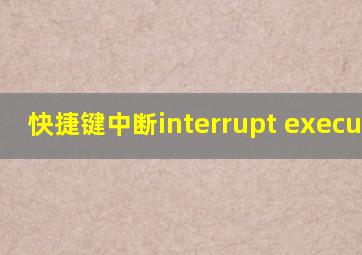 快捷键中断interrupt execution